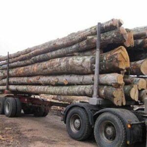 Grumes de bouleau châtaignier PEFC par 1 camion – 60M3