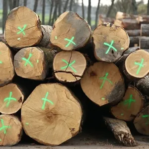 Grumes de chêne, frêne de haute qualité PEFC par 1 camion – 60M3